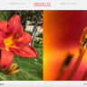 Объектив Olloclip Macro Pro Lens для iPhone 6/6s/6 Plus - 