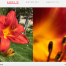 Объектив Olloclip Macro Pro Lens для iPhone 6/6s/6 Plus - 