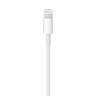 Кабель Lightning to USB для iPhone, iPad (2 метра) - 