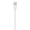 Кабель Apple Lightning to USB cable для iPhone, iPad (2 метра) - 