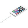 Кабель Apple Lightning to USB cable для iPhone, iPad (0.5 метра) - 