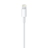 Кабель Apple Lightning to USB cable для iPhone, iPad (0.5 метра) - 